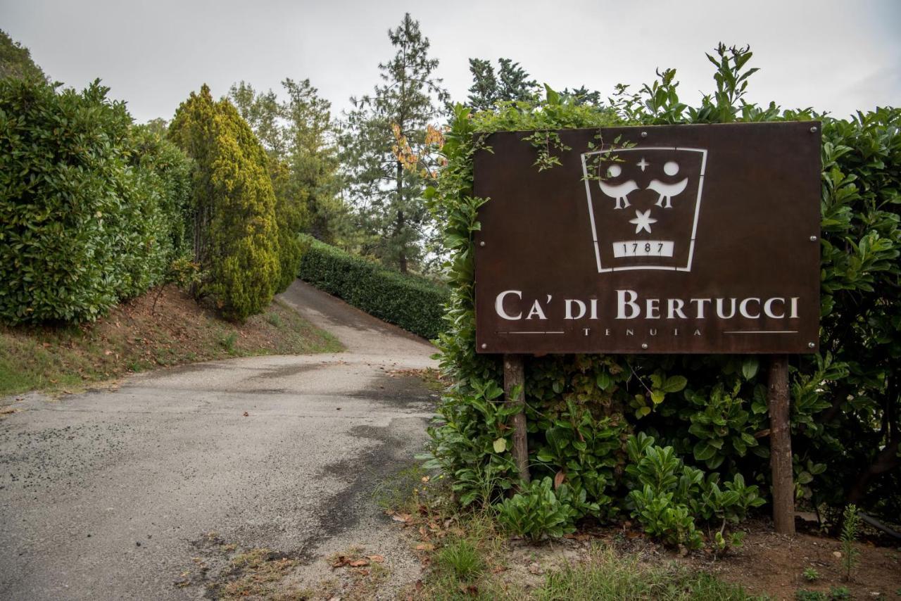 Tenuta Ca Di Bertucci Apartment Solignano Exterior photo